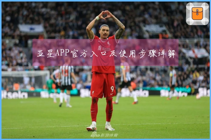 亚星APP官方入口及使用步骤详解