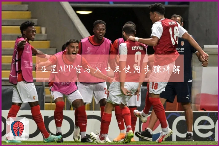 亚星APP官方入口及使用步骤详解